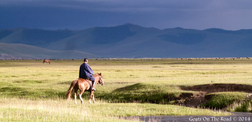 Mongolian Man On A Horse