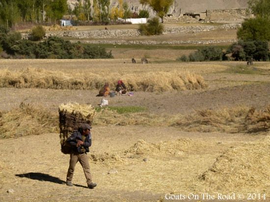 Pamir Highway Farmer
