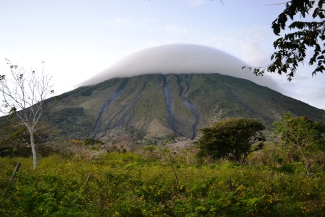 cloudforest