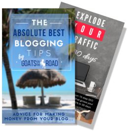 Double-Book-Cover-Popup3-e1510918972473 free ebook how to start a travel blog and free SEO training