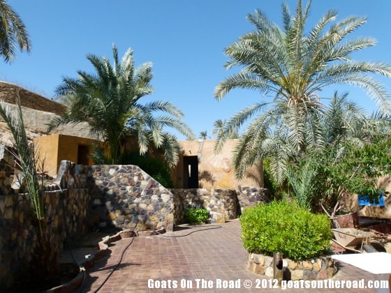 bahariya for backpackers