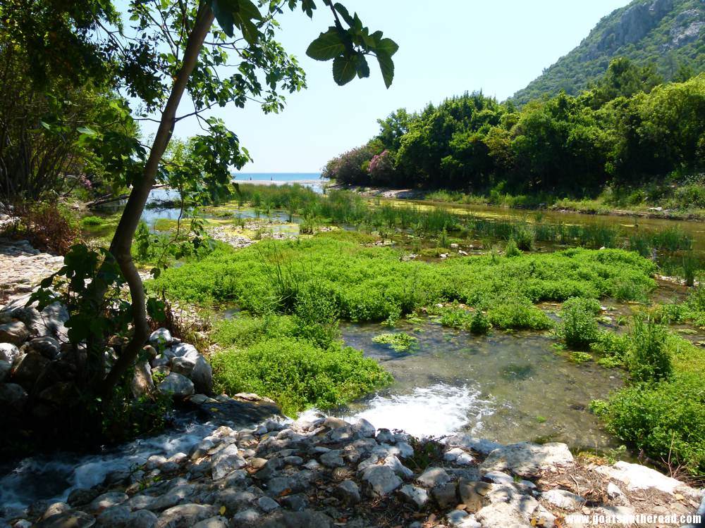 marshlands on our walk down to the beach, Olympos, Turkey