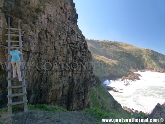 south africa for budget backpackers 