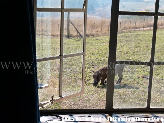 swaziland on a budget 