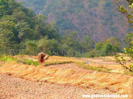 trekking annapurna circuit nepal, budget backpacking 