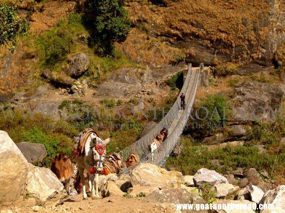 trekking annapurna circuit, nepal, budget backpacking 