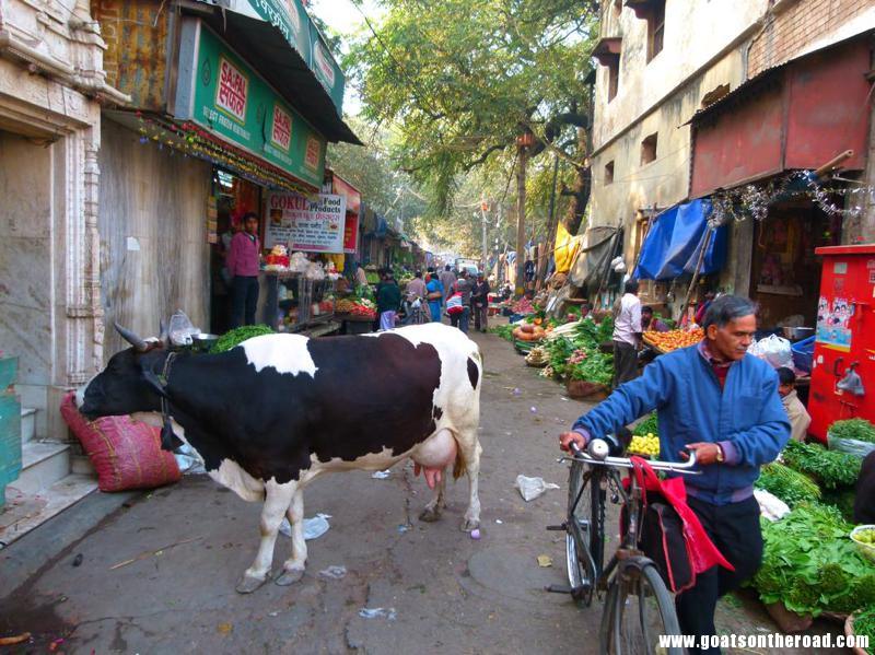 backpacking india