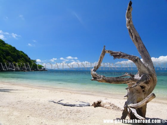 DRIFTWOOD THAILAND koh phangan for budget backpackers