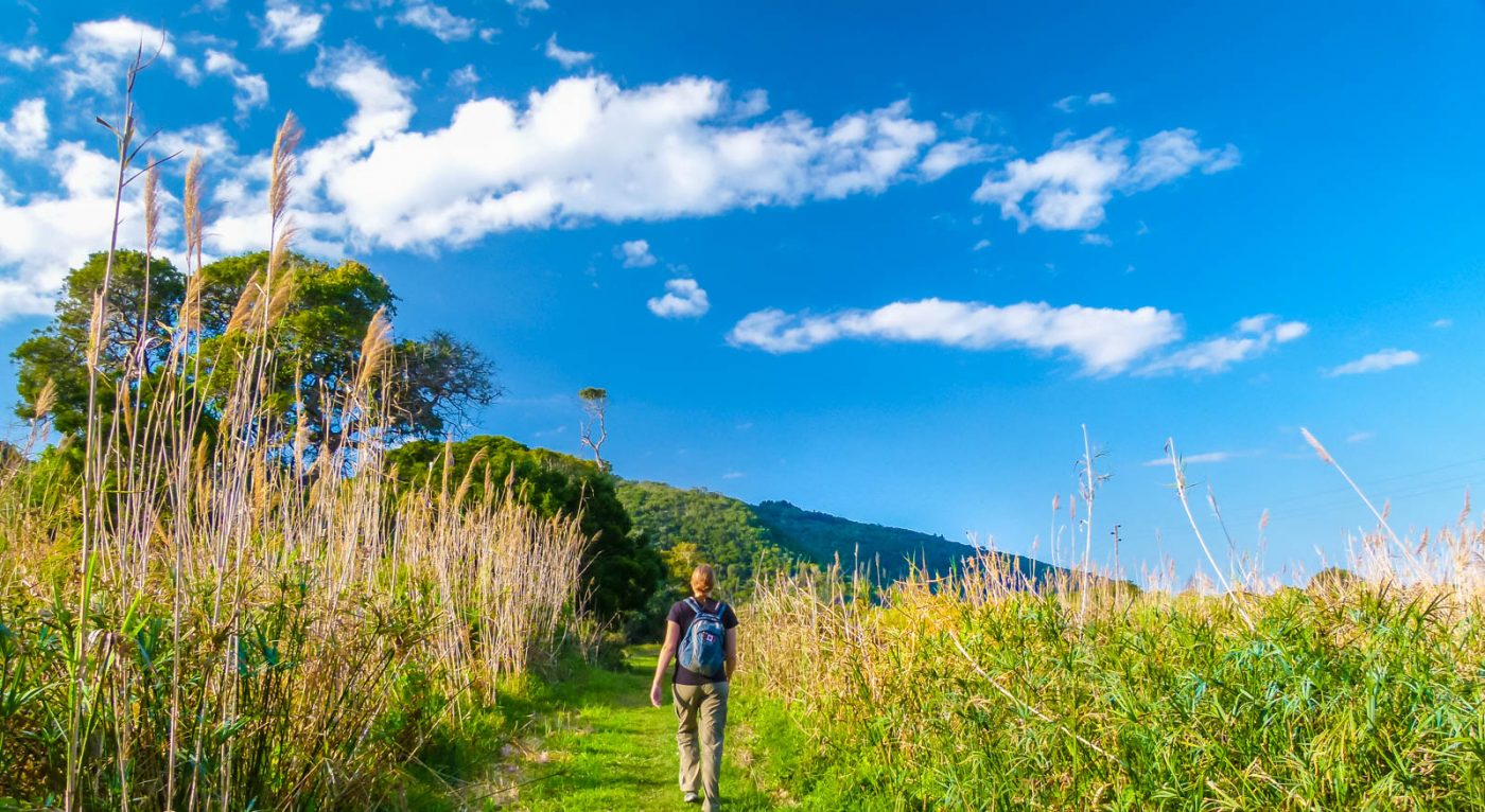 Budget Backpacking Guide To South Africa