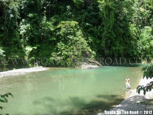 Lush jungles of Bukit Lawang, Sumatra Island, Indonesia beautiful islands