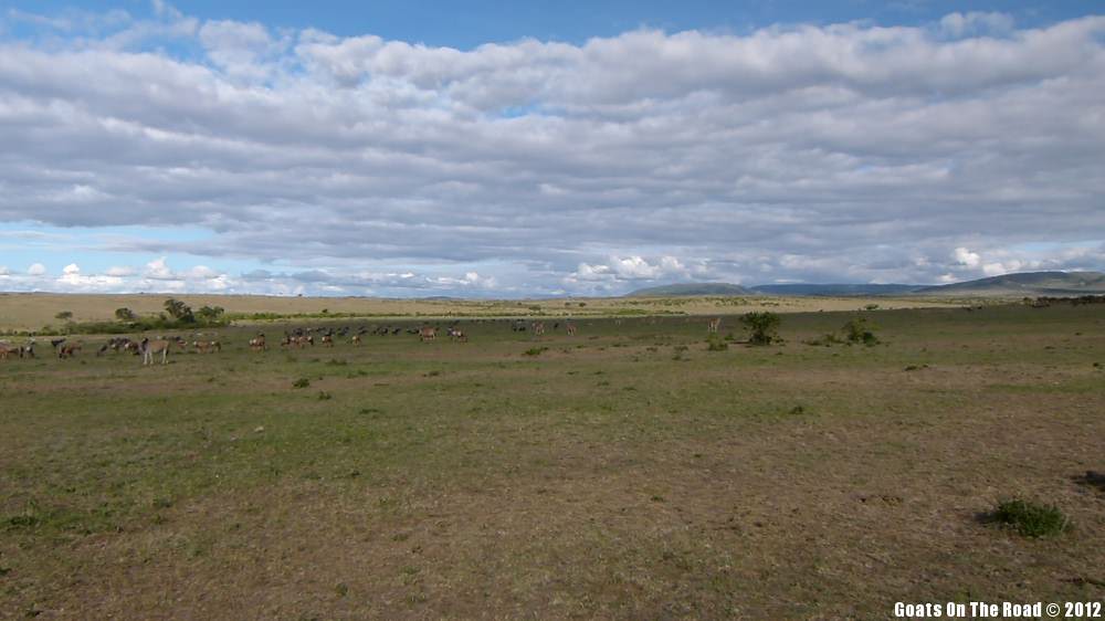 Life On The Masai Mara Life On The Masai Mara
