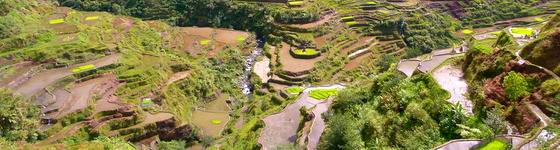 Budget Backpacking the banaue rice terraces