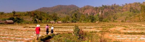 Hsipaw for budget backpackers