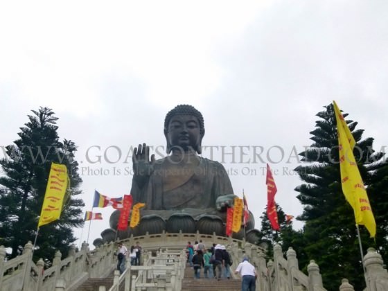 seated buddha hong kong