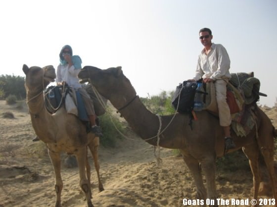 camel safari india