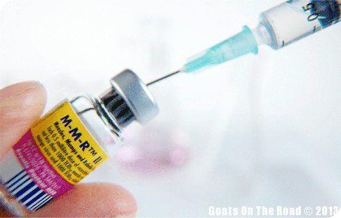 travel vaccinations