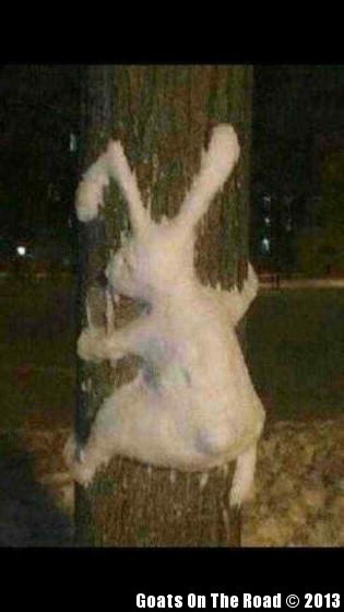 Snowmen Of Yangzhou