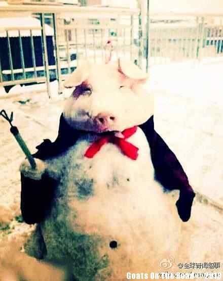 Snowmen Of Yangzhou