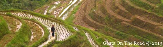 The Dragon's Backbone Rice Terraces Travelling China
