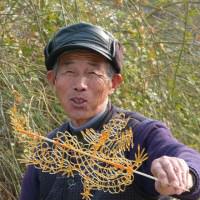 travelling china meeting local people. this is a man selling sweets in yangzhou