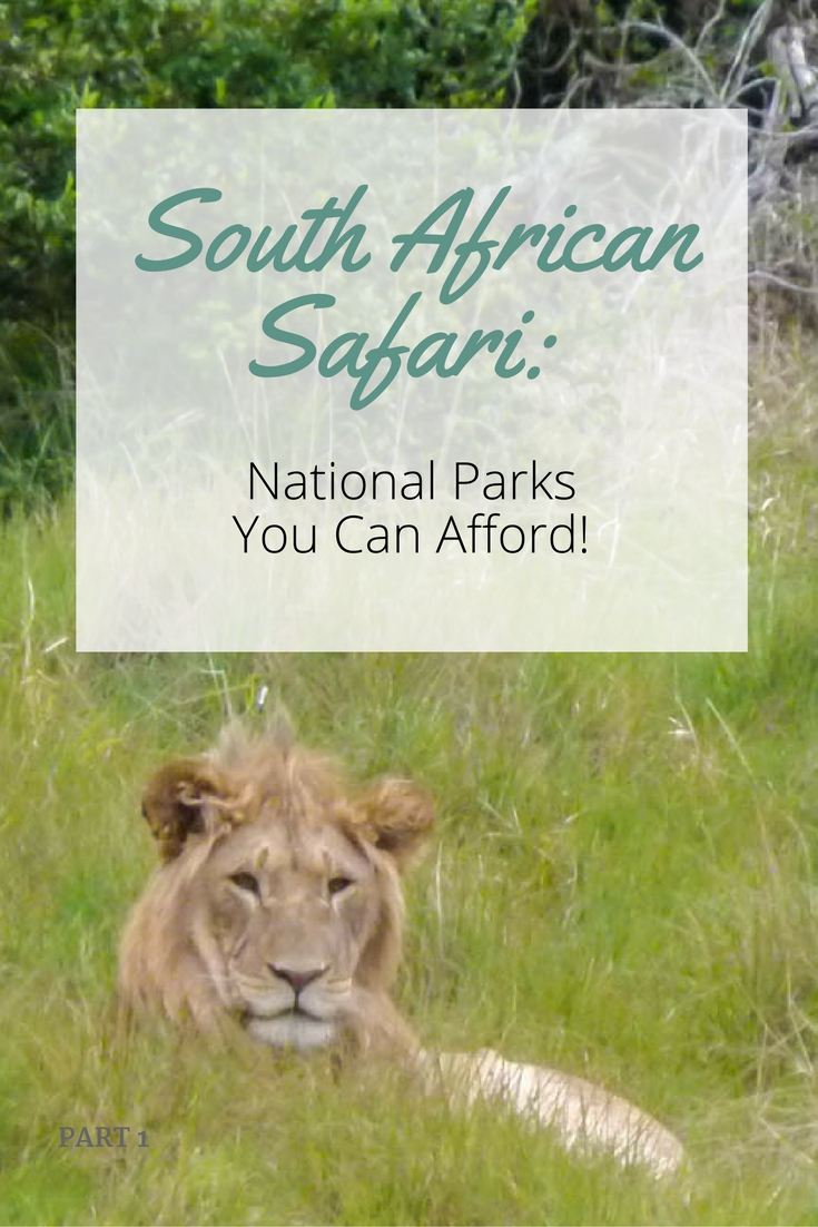 South African Safari: National Parks You Can Afford!