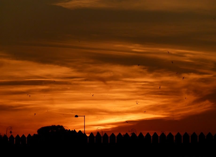 sunset quote morocco