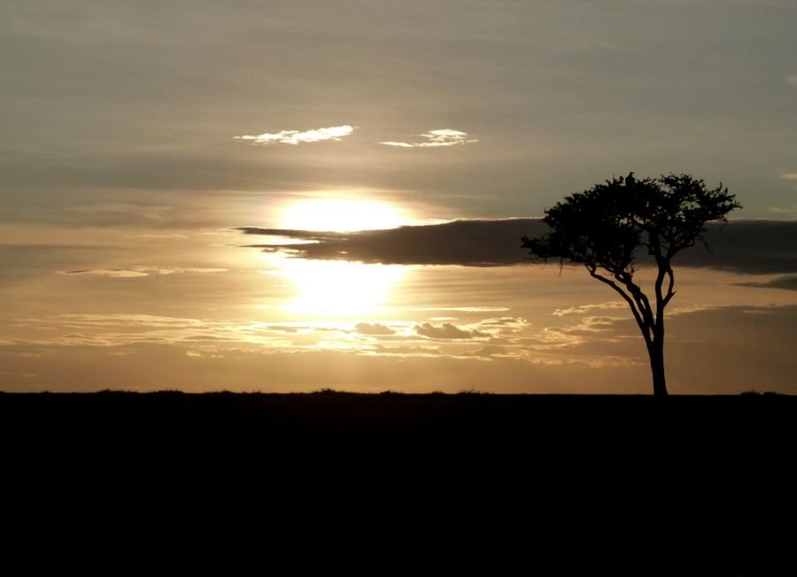 sunset masai mara