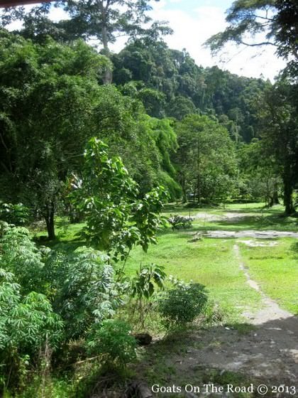backpacking bukit lawang