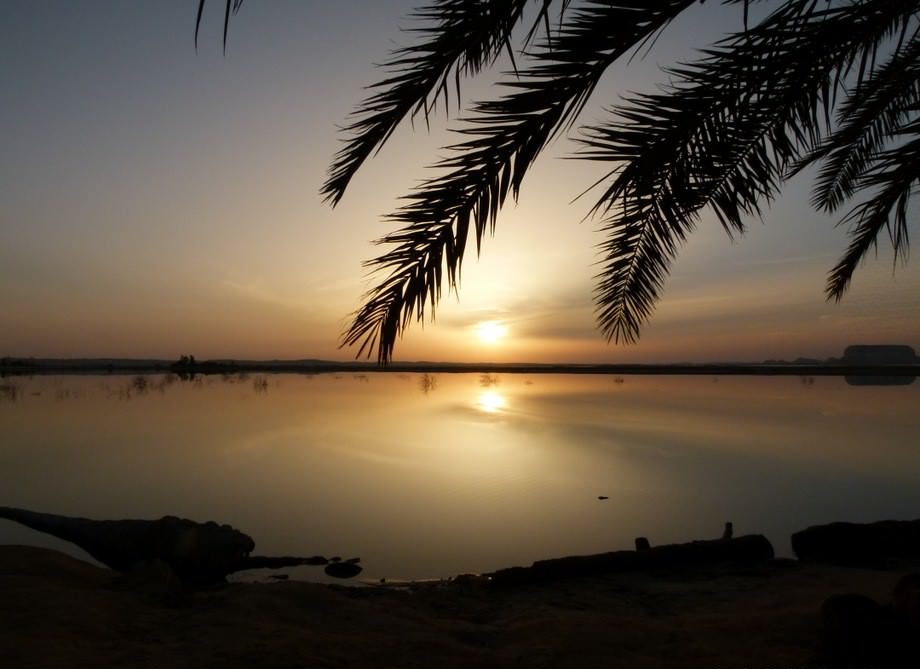 beautiful quote about siwa oasis sunset