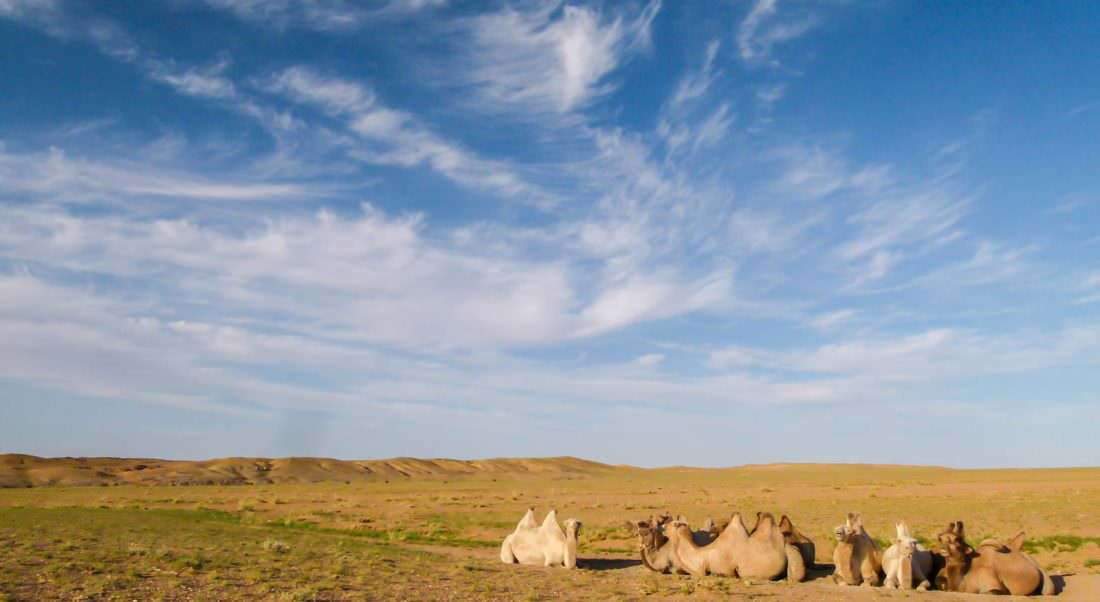 Our 6 Day Tour: Good Times In The Gobi Desert, Part #1