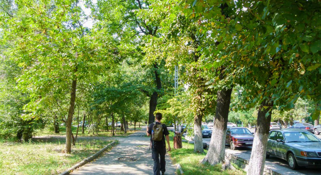 From The Leafy Streets Of Almaty: Are We In Kazakhstan?