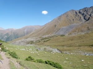Trekking To Altyn Arashan Without A Guide Follow This River All The Way To Altyn Arashan