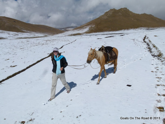 horse trekking