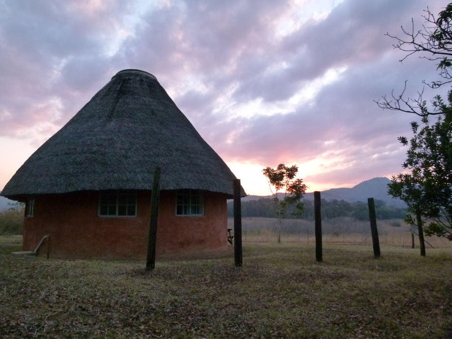 swaziland sunset quote safari