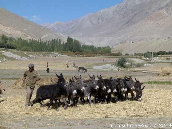 langar pamir highway