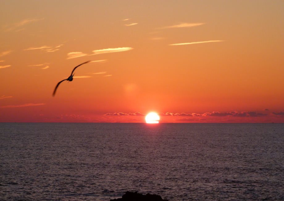 thoughts about sunset Essouira Morocco