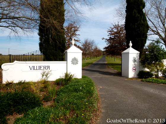 stellenbosch winery