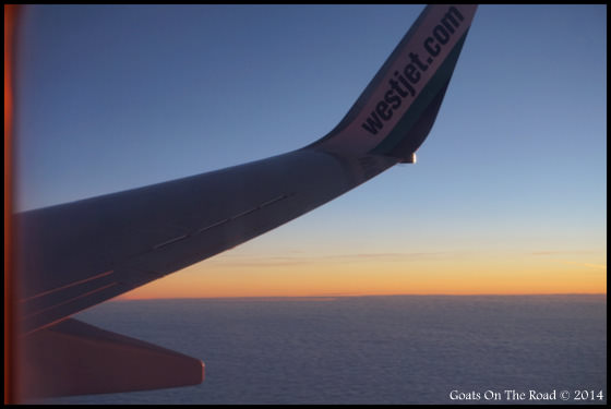Flight to Mexico