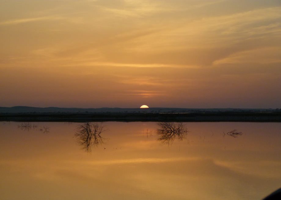 siwa oasis egypt