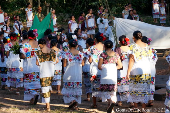 momentos sagrados mayas valladolid