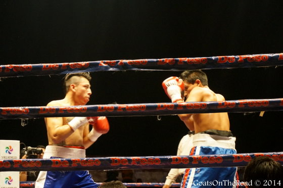 boxing in mexico
