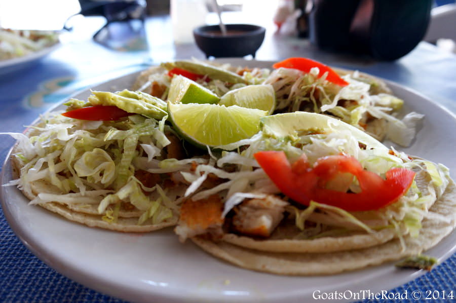 fish tacos mexican food