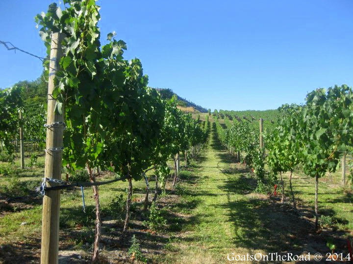 wineries in b.c.