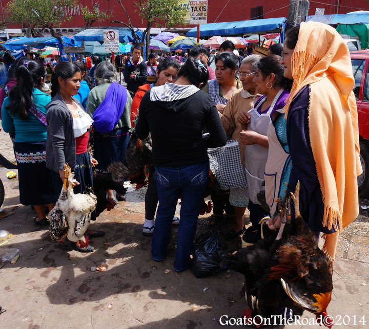 market in san cristobal de las casas