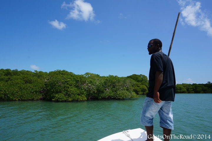 manatee tour caye caulker