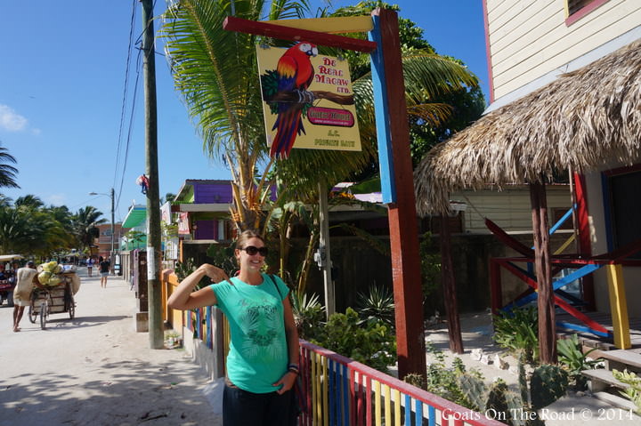 Checking In To De Real Macaw
