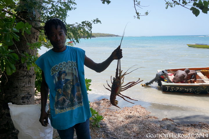 fishing in grenada