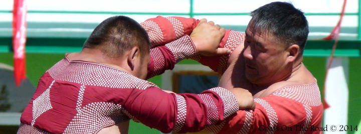 Wrestling At Nadaam Festival In Tsetserleg traveling Mongolia