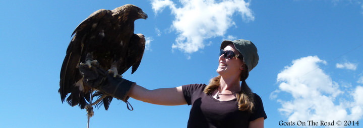 traveling Mongolia - Eagle Hunting