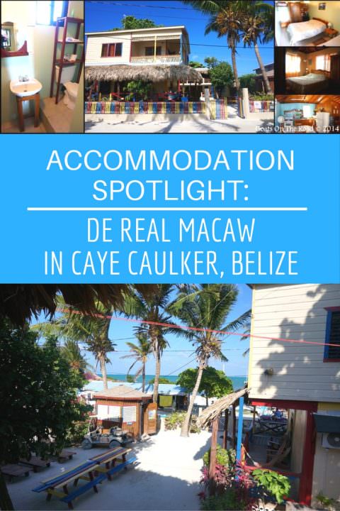 Accommodation Spotlight- De Real Macaw in Caye Caulker, Belize